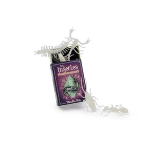 Insectes phosphorescents | MOULIN ROTY