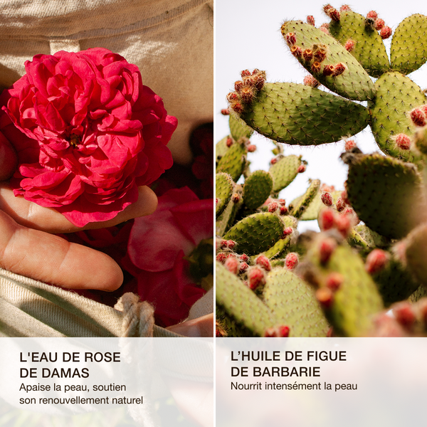 La crème repulpante 30ml | ODEN