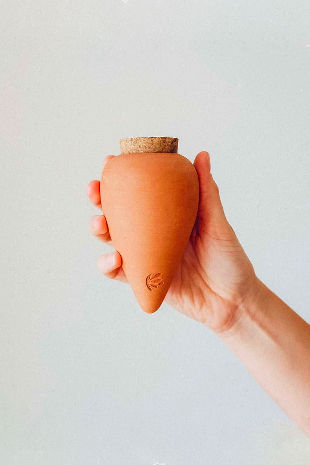 Olla Terracotta | PEPIN