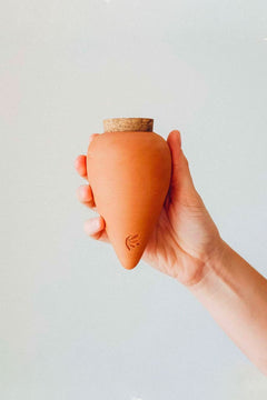 Olla Terracotta | PEPIN