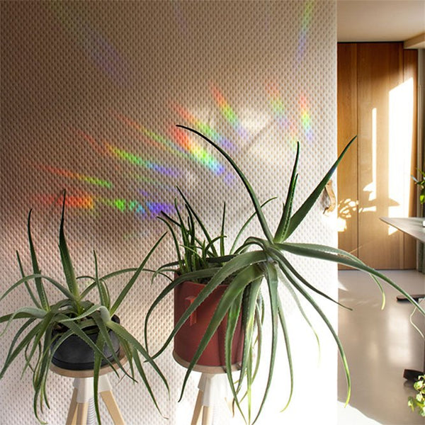 Sticker créateur d'arc-en-ciel 'Keep growing' | BOTANOPIA