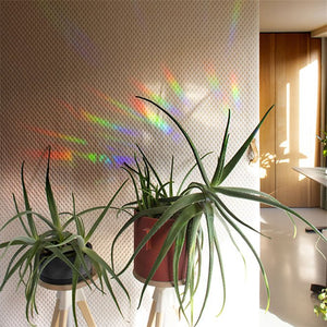 Sticker créateur d'arc-en-ciel 'Flourish' | BOTANOPIA