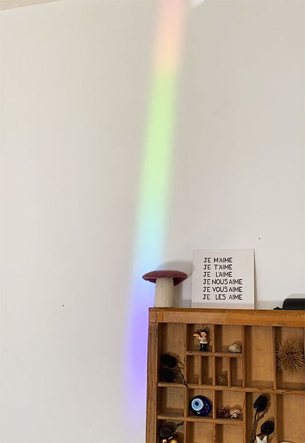 Sticker créateur d'arc-en-ciel 'Stay wild' | BOTANOPIA