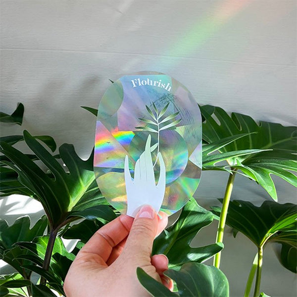 Sticker créateur d'arc-en-ciel 'Flourish' | BOTANOPIA