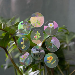 Sticker créateur d'arc-en-ciel 'Stay wild' | BOTANOPIA