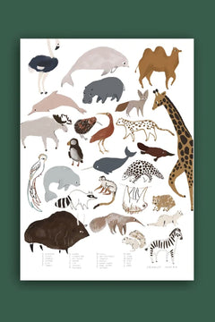 Affiche Abécédaire Animaux 50x70cm | CHARLOTTE JANVIER