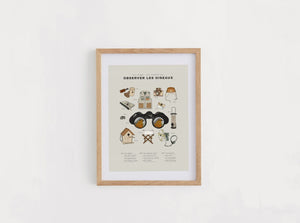 Affiche imagier 'Observer les oiseaux' | I FOLLOWED THE BIRDS