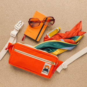 Banane 'Fanny' Orange | YKRA