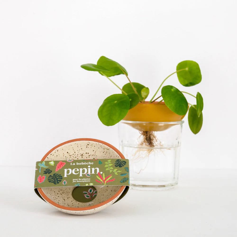 Bobèche plantes blanc grainé | PEPIN