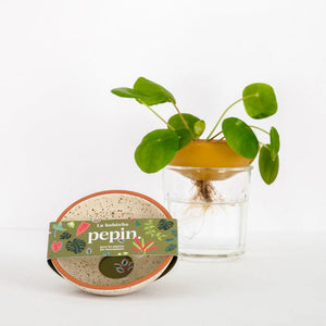 Bobèche plantes blanc grainé | PEPIN