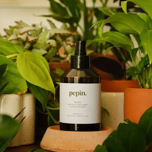 Brume nettoyante | PEPIN