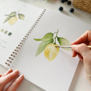 Cahier d'aquarelle 'Fruit' | EMILY LEX STUDIO