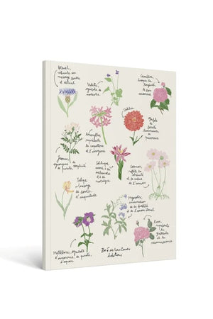 Carnet 'Fleurs' A4- Zoé De Las Cases | HACHETTE