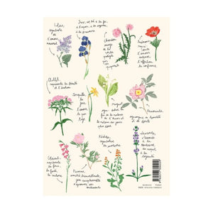 Carnet 'Fleurs' A4- Zoé De Las Cases | HACHETTE