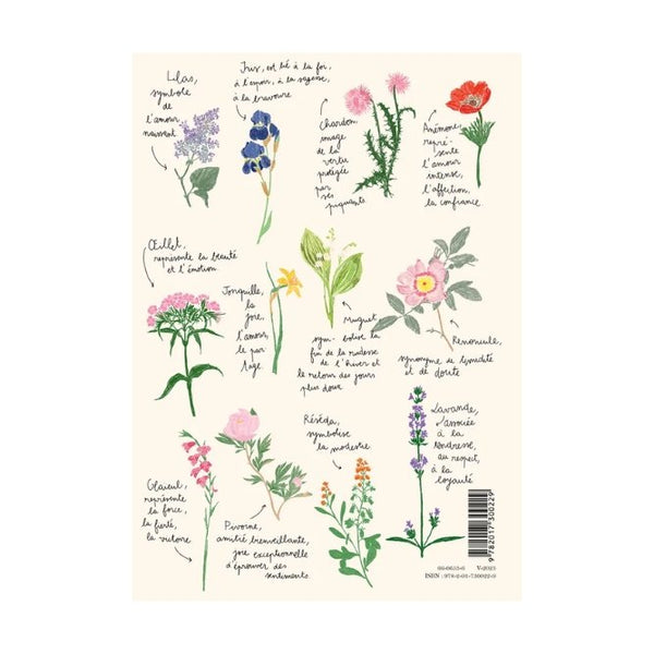 Carnet 'Fleurs' A4- Zoé De Las Cases | HACHETTE