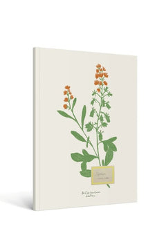 Carnet 'Fleurs' A5 - Zoé De Las Cases | HACHETTE