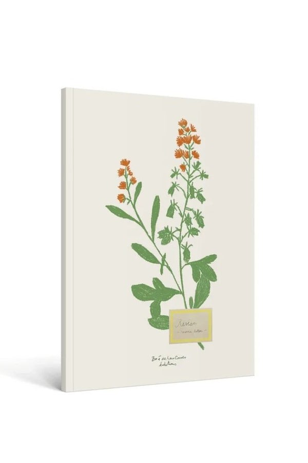 Carnet 'Fleurs' A5 - Zoé De Las Cases | HACHETTE