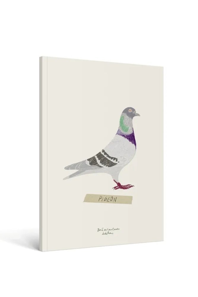 Carnet 'Oiseau' A5 - Zoé De Las Cases | HACHETTE
