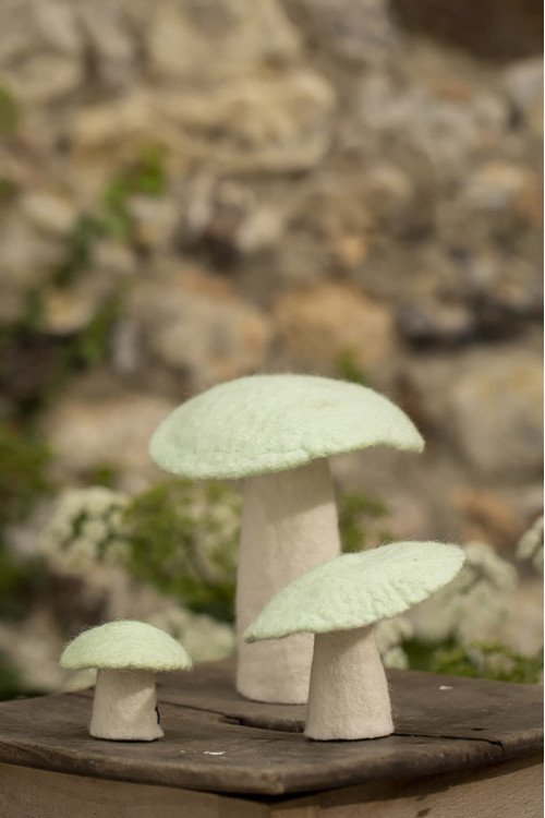 Champignon en laine feutrée S | MUSKHANE