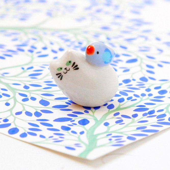 Chat colibri | DODO TOUCAN