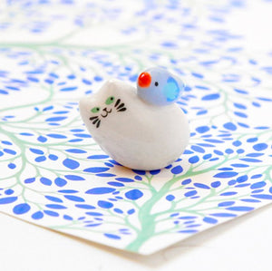 Chat colibri | DODO TOUCAN