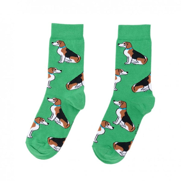 Chaussettes Beagle | COUCOU SUZETTE