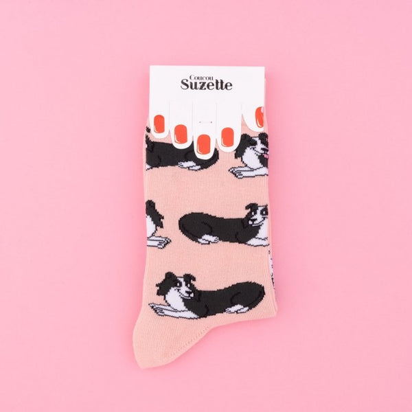 Chaussettes Border Collie | COUCOU SUZETTE