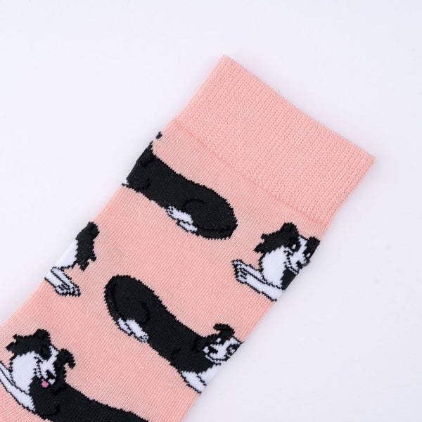 Chaussettes Border Collie | COUCOU SUZETTE