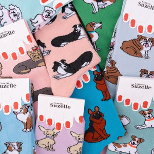 Chaussettes Border Collie | COUCOU SUZETTE