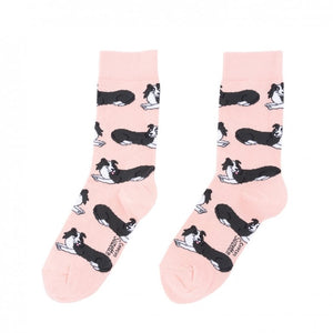 Chaussettes Border Collie | COUCOU SUZETTE