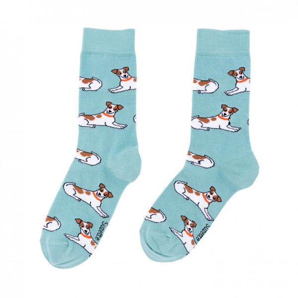 Chaussettes Jack Russel | COUCOU SUZETTE