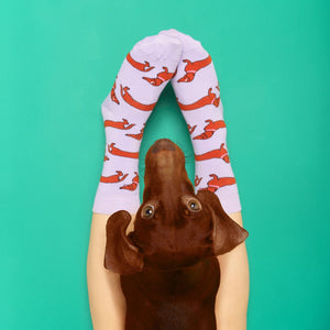 Chaussettes Teckel | COUCOU SUZETTE