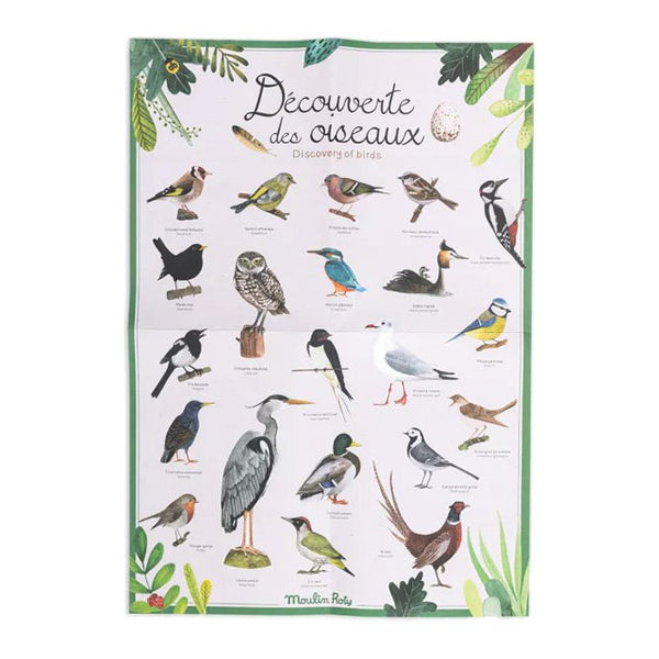 Coffret Découverte Oiseaux | MOULIN ROTY