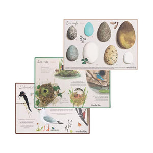 Coffret Découverte Oiseaux | MOULIN ROTY