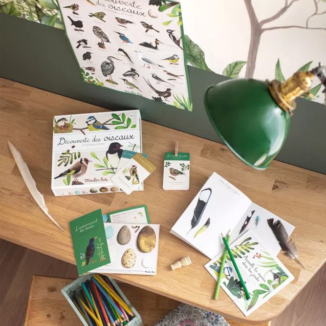 Coffret Découverte Oiseaux | MOULIN ROTY