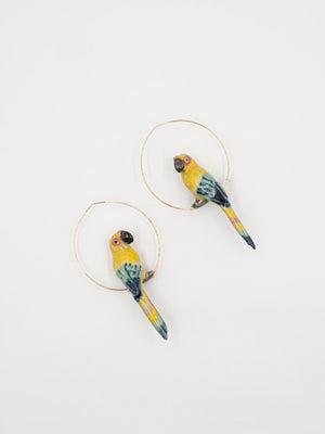 Créoles Conure soleil | NACH BIJOUX