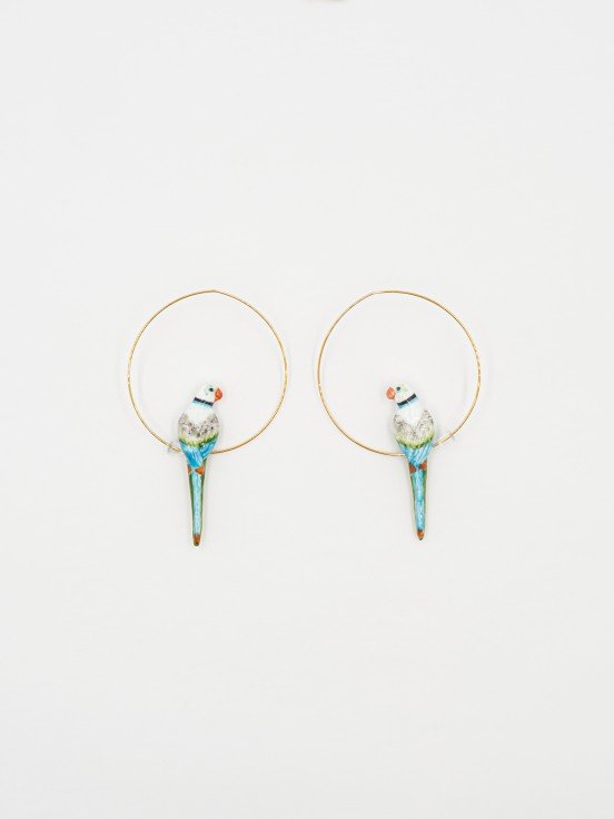 Créoles Perroquet bleu & vert | NACH BIJOUX
