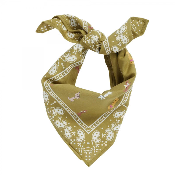 Foulard indien 'Teckel' Olive | BONHEUR DU JOUR