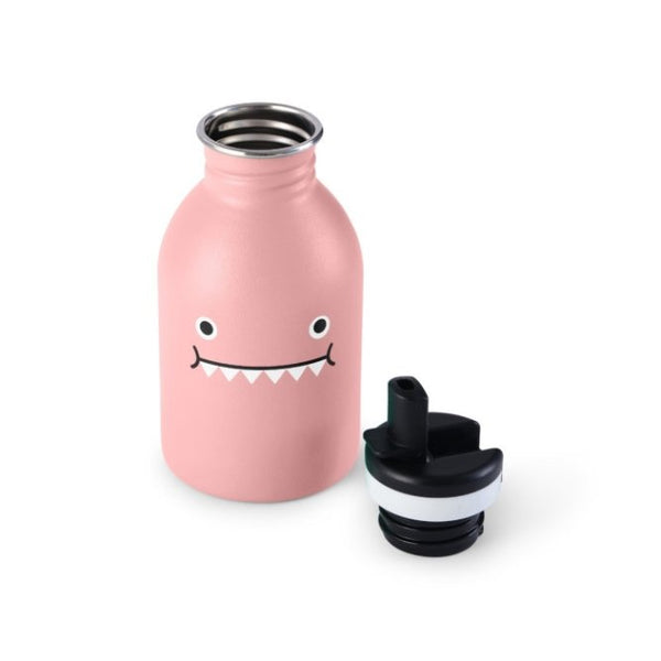Gourde Kids en inox 'Miss Dino' Pink 25cl | NOODOLL x 24 BOTTLES