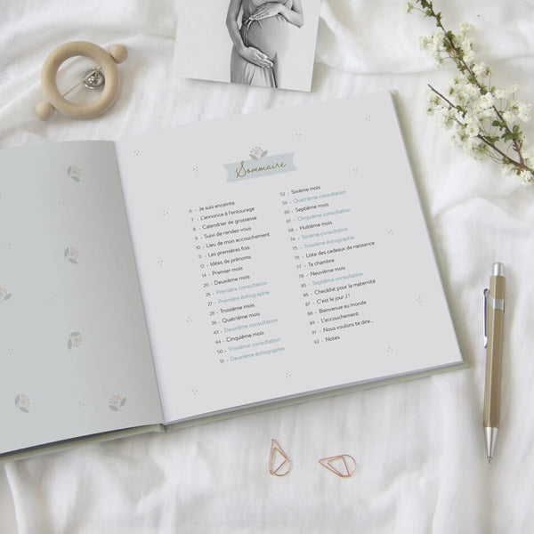 Journal de grossesse | ZÜ