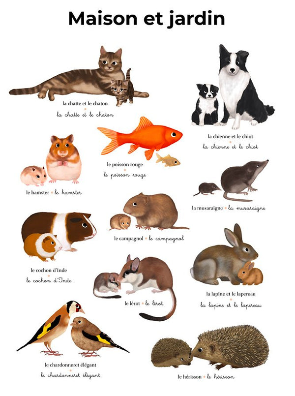 L'imagier géant du Père Castor 'Les bébés animaux' | FLAMMARION