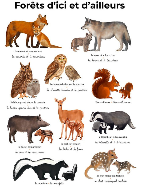 L'imagier géant du Père Castor 'Les bébés animaux' | FLAMMARION