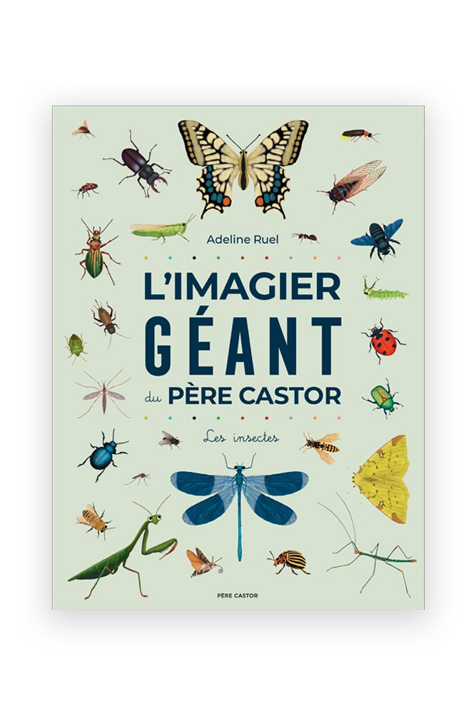 L'imagier géant du Père Castor 'Les insectes' | FLAMMARION