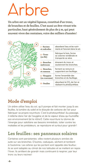 Livre 'Arbres d'ici et d'ailleurs' | GALLIMARD