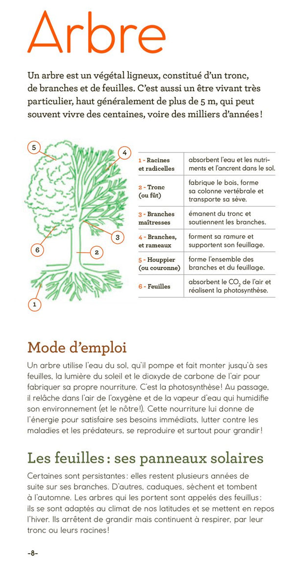 Livre 'Arbres d'ici et d'ailleurs' | GALLIMARD