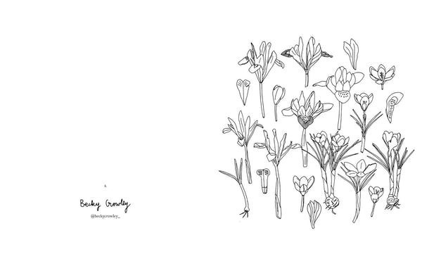 Carnet 'Fleurs' - Zoé De Las Cases | HACHETTE