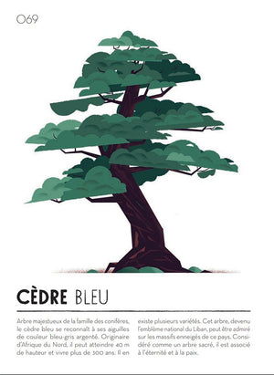 Livre 'Colorama' | GALLIMARD