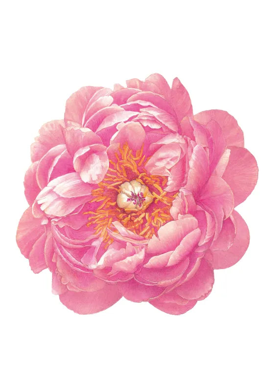 Livre 'Flowers' - Carole Tolila | MARABOUT