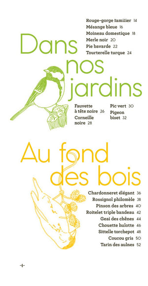 Livre 'Oiseaux à reconnaître' | GALLIMARD