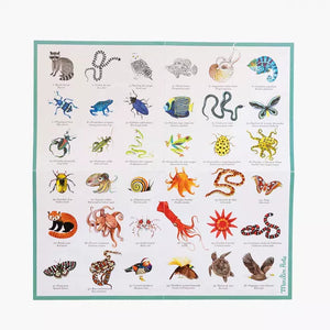 Memory des animaux 'Tout autour du monde' | MOULIN ROTY